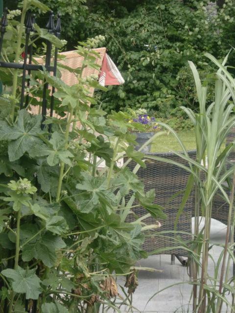 Ferienhaus Von Ahrentschildt-Pestalozzistrasse 29 Санкт Петер-Ординг Екстериор снимка